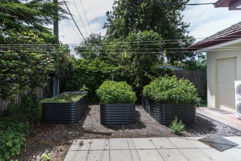 3 Bdrm 2 Bthrm House Close To Canberra Cbd & Anu Exteriör bild